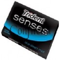 TRIDENT SENSET MENTA  12 UN